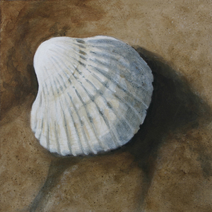 Struna Galleries of Brewster and Chatham, Cape Cod Paintings of New England and Cape Cod  - Cockle Shell